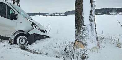 Zjechał na pobocze i uderzył w drzewo. Dwie osoby ranne-31057