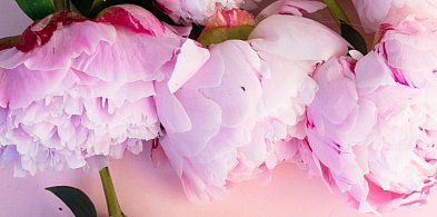 Życzenia od Arkadiusza Iwaniaka