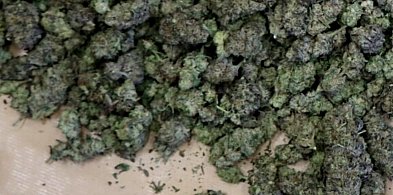 Kolejne uderzenie w przestępczość narkotykową