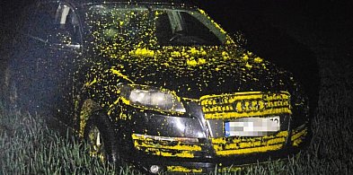 Porzucone Audi w rzepaku i fałszywa kradzież