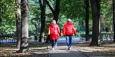 3 tys. kroków dziennie może spowolnić Alzheimera-30166