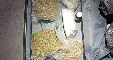 Funkcjonariusze zabezpieczyli 1,6 kg narkotyków, 393 tys. zł i 700 euro-30302