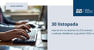 Ponad 2,4 mln wniosków o wakacje składkowe. Termin mija 30 listopada-30353