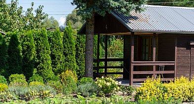 Dotacje dla Rodzinnych Ogrodów Działkowych