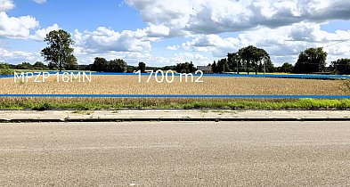 Działka budowlana - 1700 m2 - Kownaty-Borowe