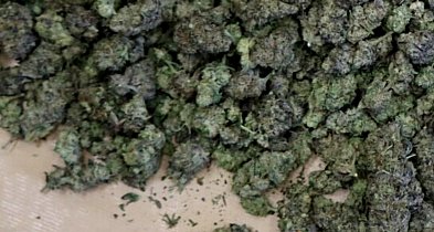 Kolejne uderzenie w przestępczość narkotykową