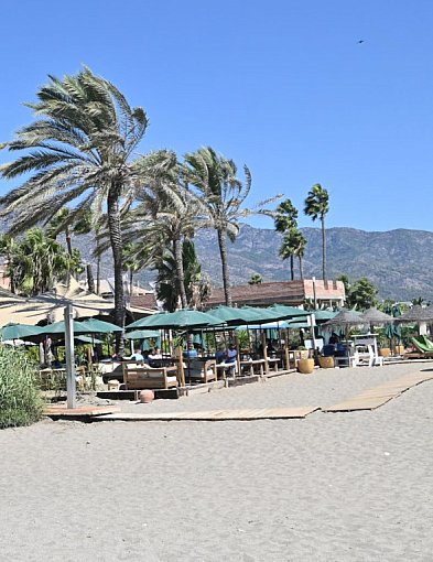 Plan urlopowy na 2026 r. PIP przypomina, jak stosować przepisy-30924