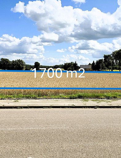 Działka budowlana - 1700 m2 - Kownaty-Borowe