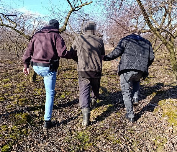 IV ogólnopolska akcja poszukiwawcza - działania mazowieckich policjantów