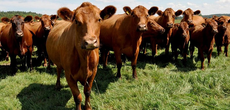 Dobrostan 2025 - ważne daty dla hodowców