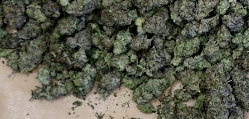 Kolejne uderzenie w przestępczość narkotykową