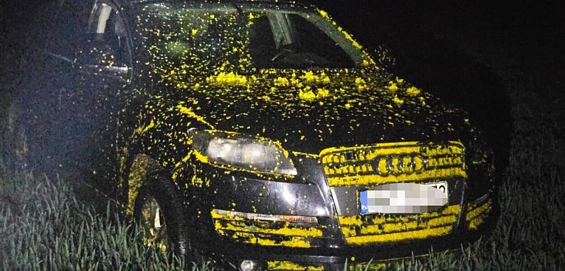 Porzucone Audi w rzepaku i fałszywa kradzież