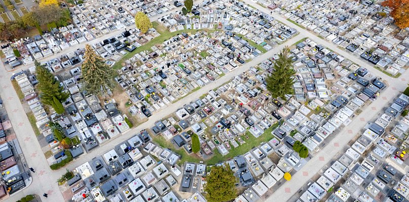Wszystkich Świętych: zmiana organizacji ruchu, nieodpłatne parkingi - 29922