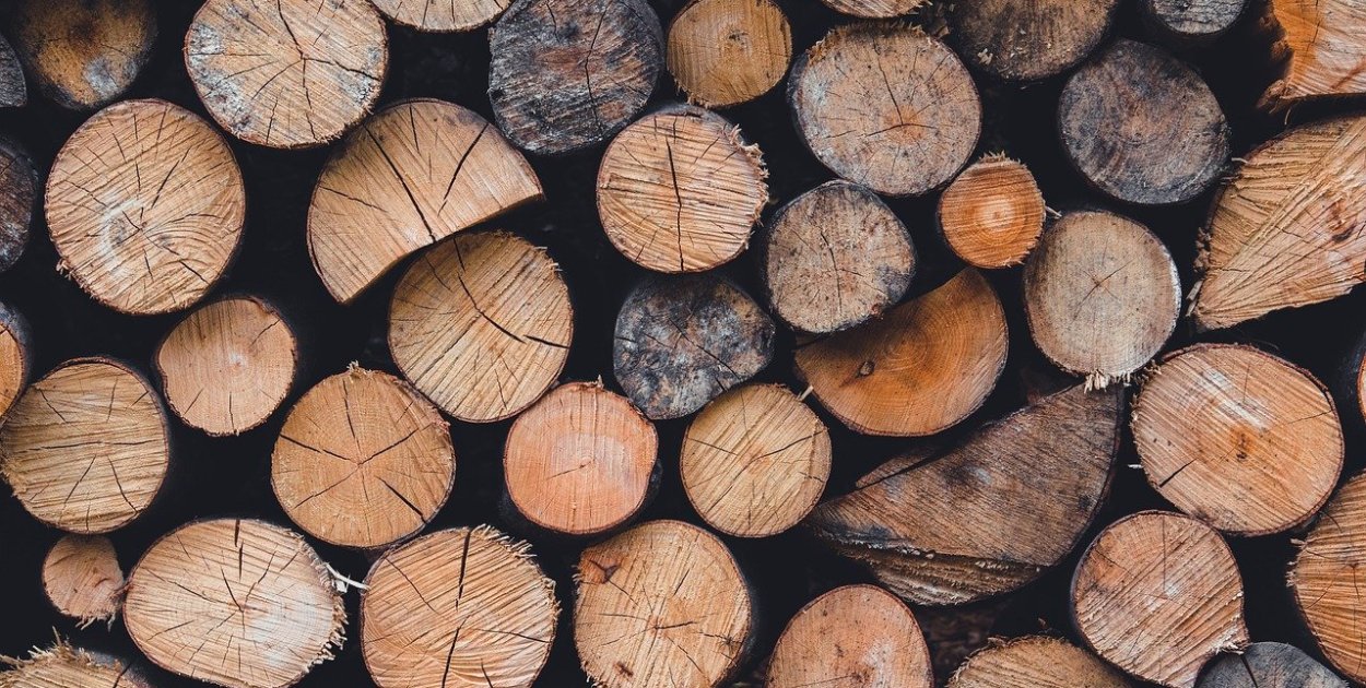 Image by Szabolcs Molnar from Pixabay.com