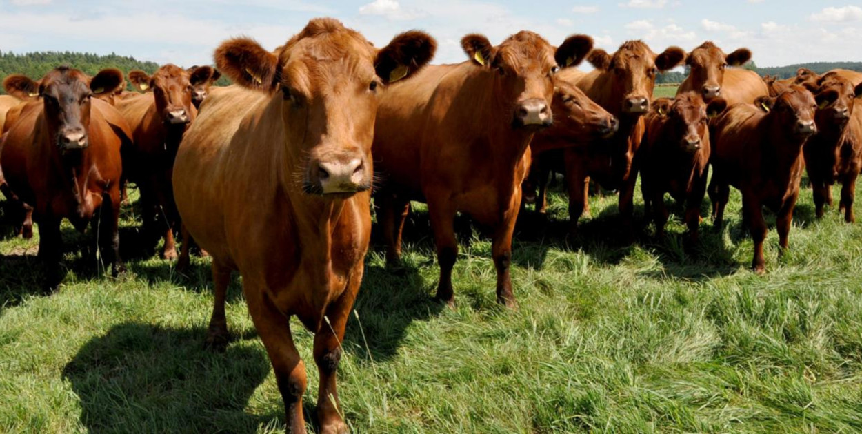 Dobrostan 2025 - ważne daty dla hodowców