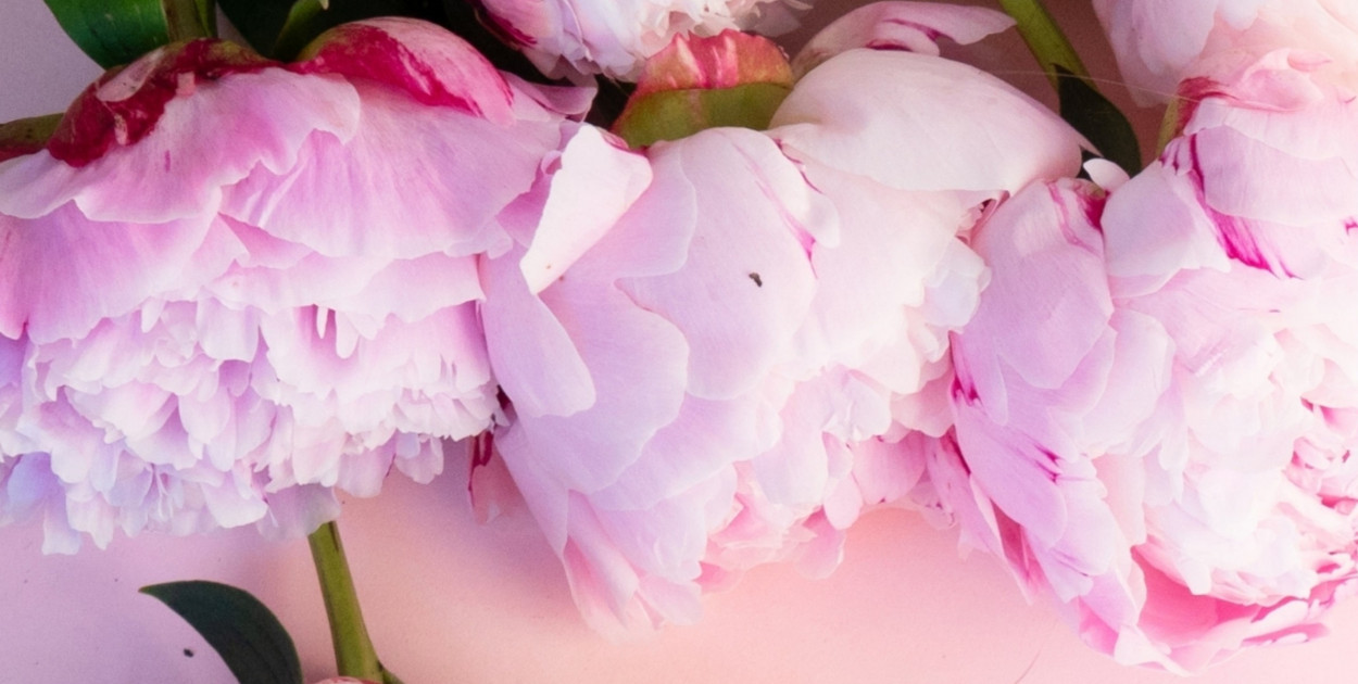 Życzenia od Arkadiusza Iwaniaka