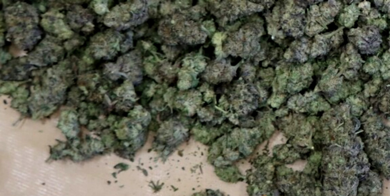 Kolejne uderzenie w przestępczość narkotykową